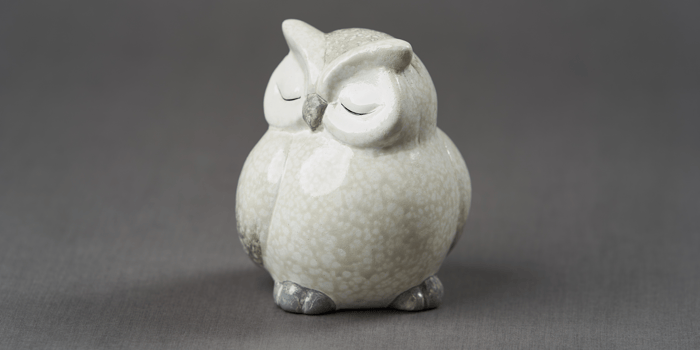 wisdom-owl