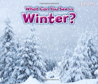 Dec - BLD - Theme - Winter Stories - What can you see in Winter