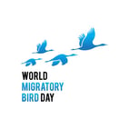 World Migratory Bird Day