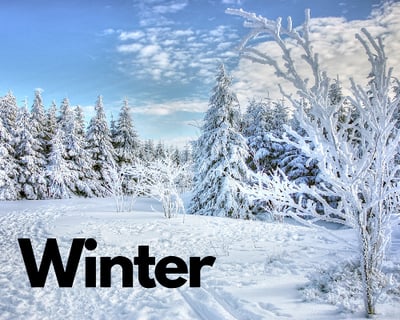 Winter-1-1