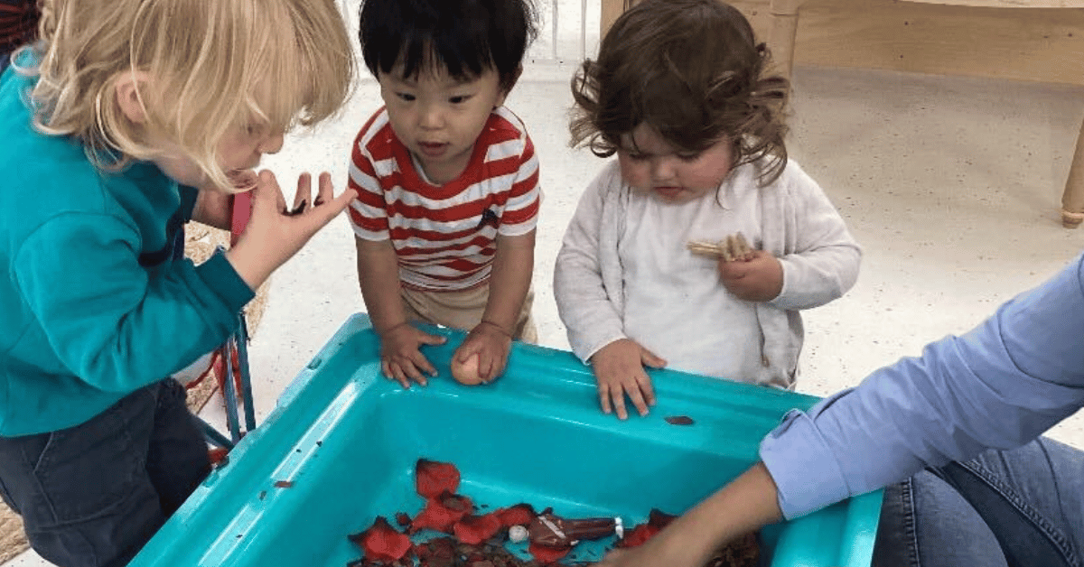 Hatchlings-1