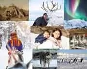 January---Arctic-&-Polar-Regions-1-1