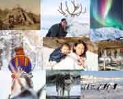 January---Arctic-&-Polar-Regions-compress-1