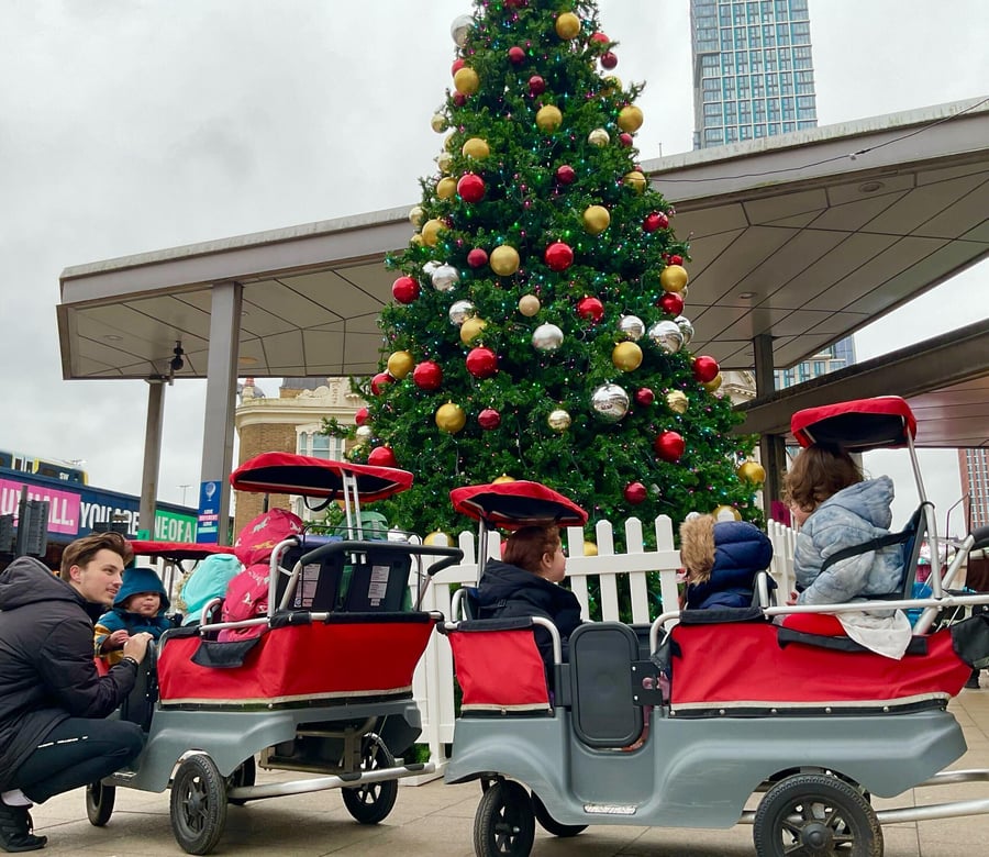 December - Christmas tree - excursion