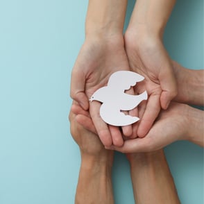 Let's Learn About the International Day of Peace!