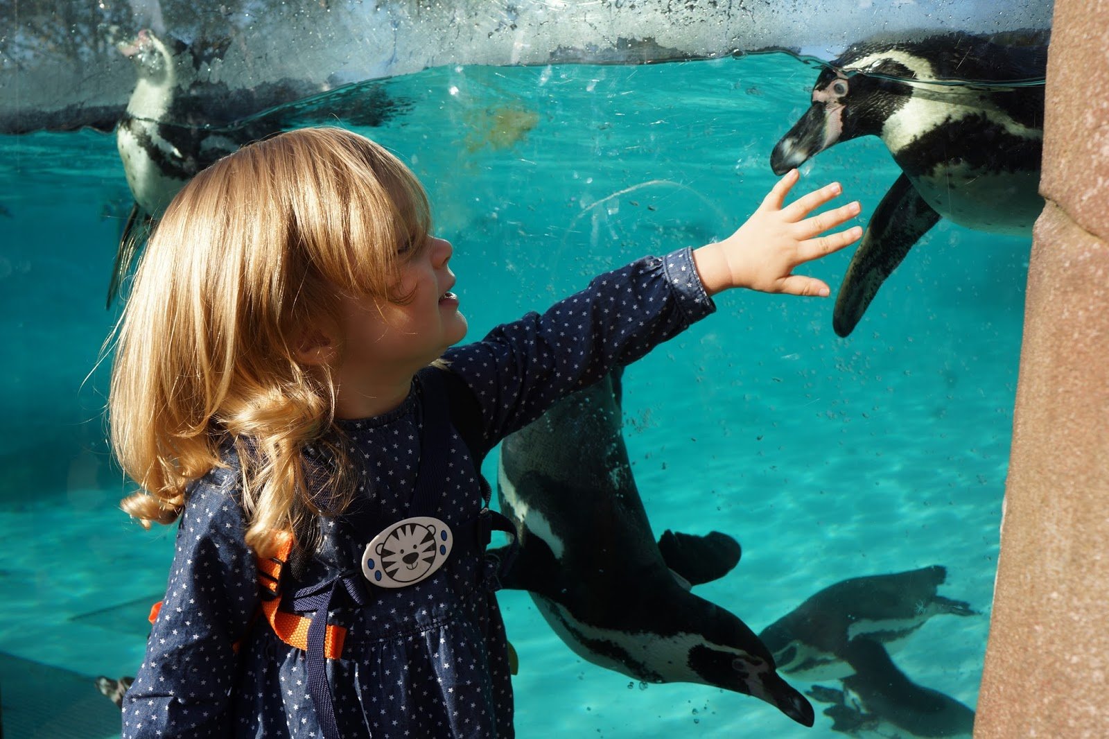 London zoo London zoo