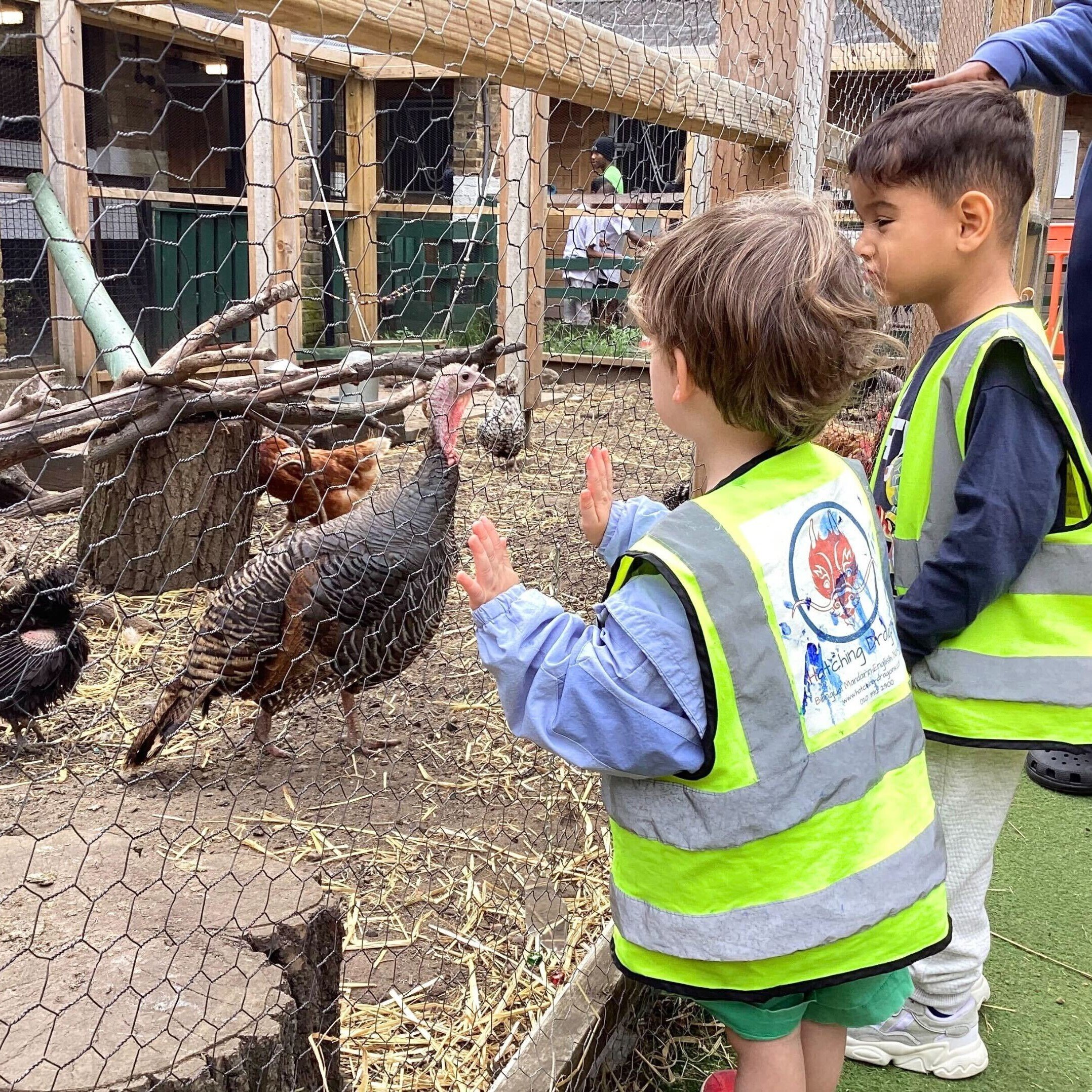 WMT_Vauxhall City Farm-2
