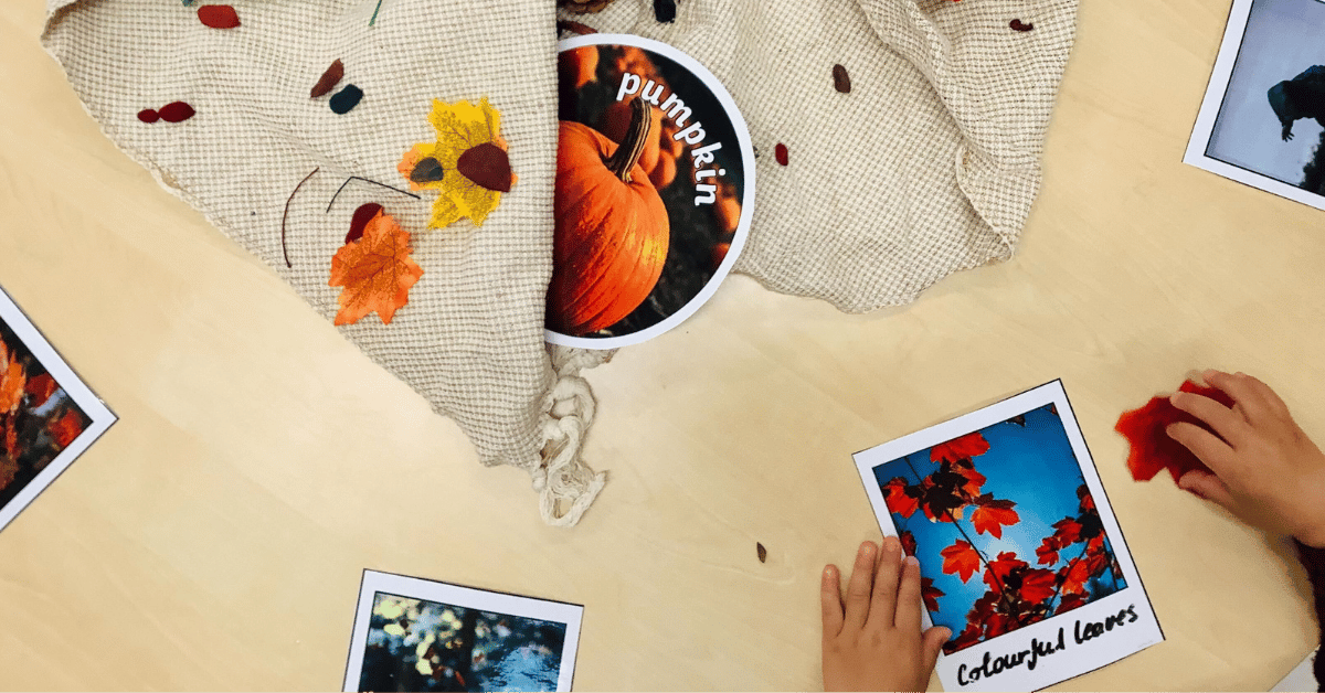 harvest festival