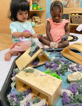 Canada Water School Highlights - 7th July, 2025