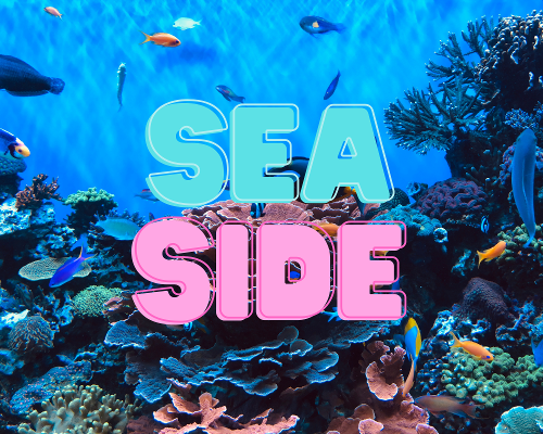 The Seaside-1-1