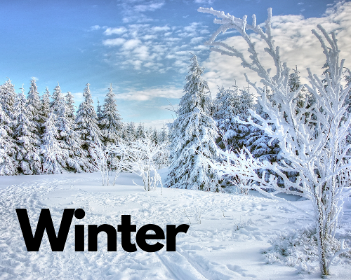 Winter-1-1
