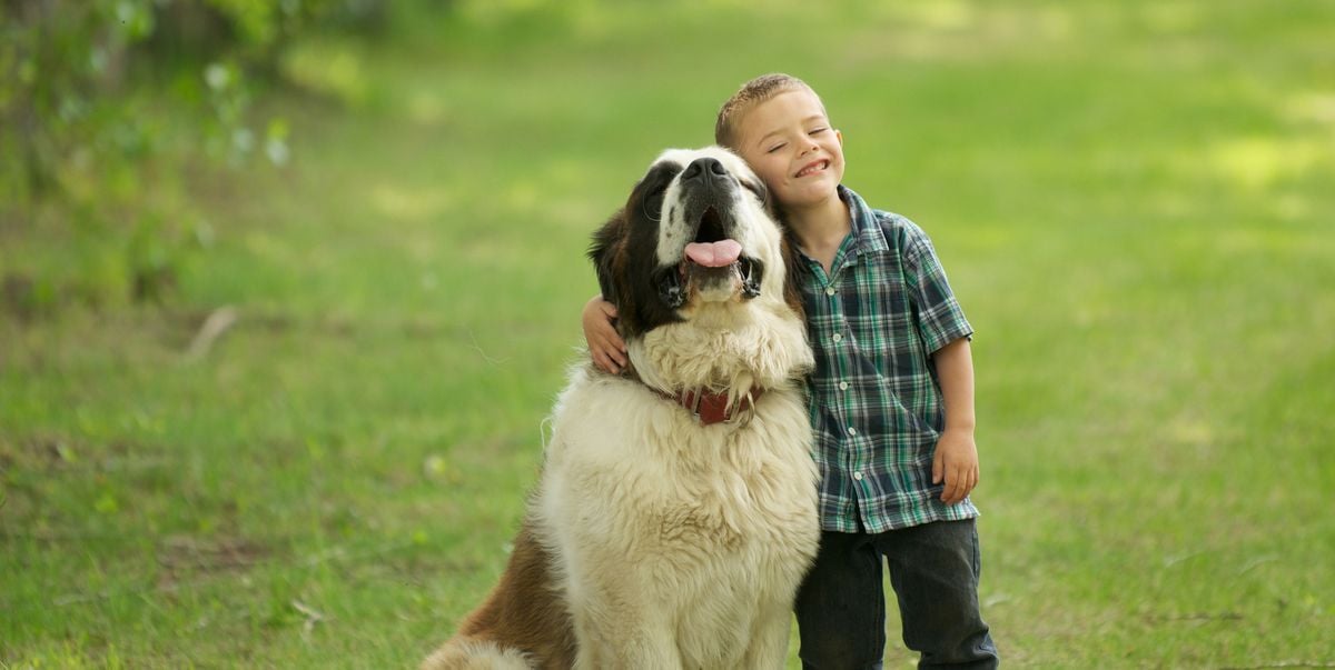 Building Loyalty (忠) A timeless value (Dog shows loyalty to a child)