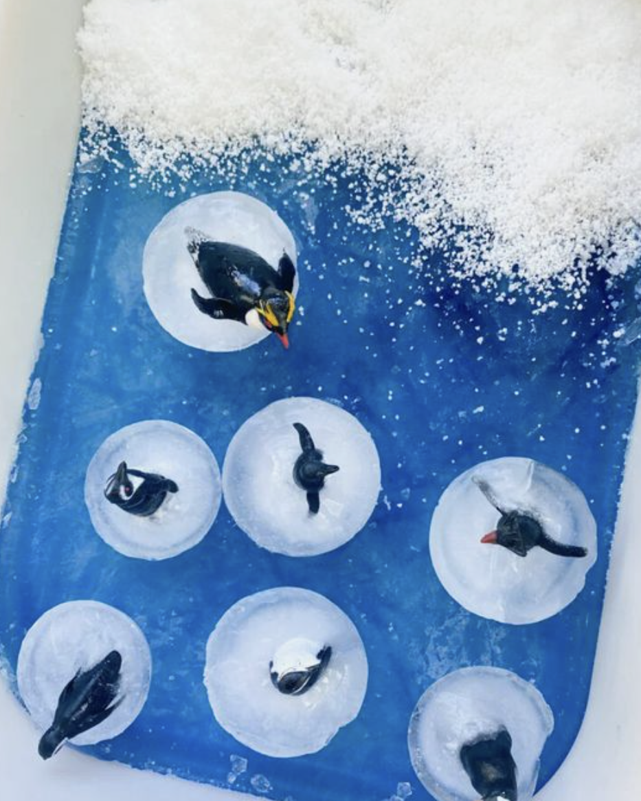 Arctic and Antarctic through sensory play