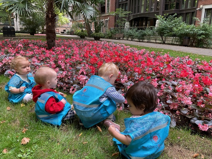 Westminster School Highlights - 31st July, 2025